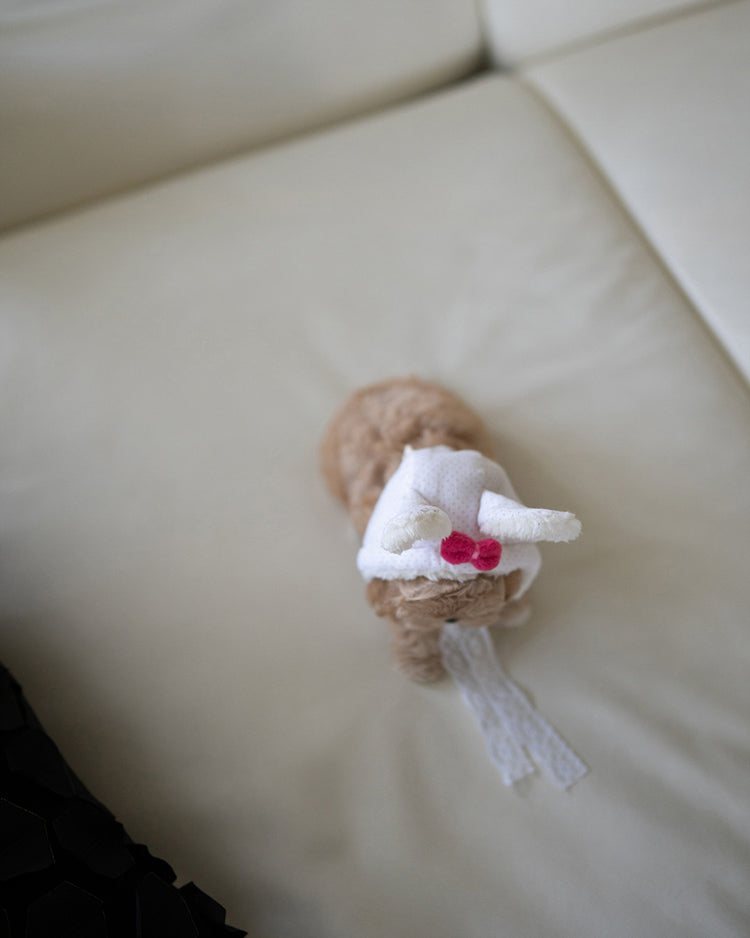 CAMILLE - FEMALE (PURCHASED by KAREN) - ROLLYPUPS OFFICIAL