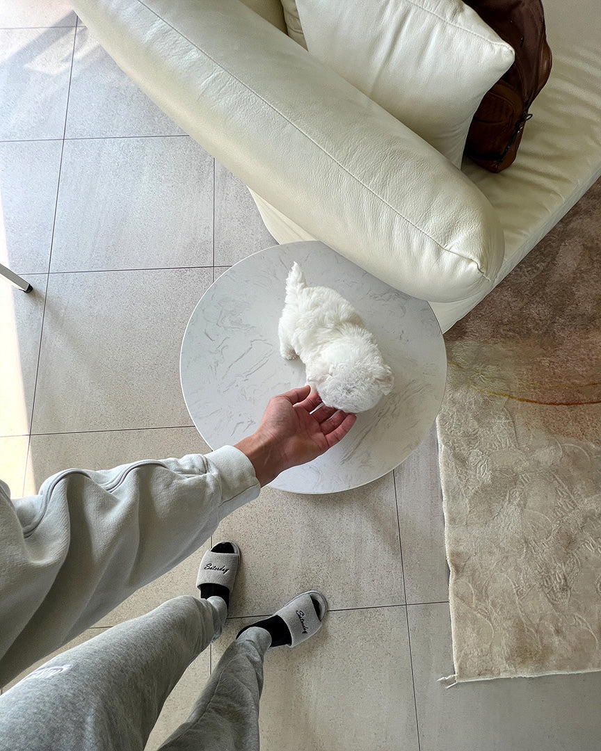 TOBY - MALE - ROLLYPUPS OFFICIAL