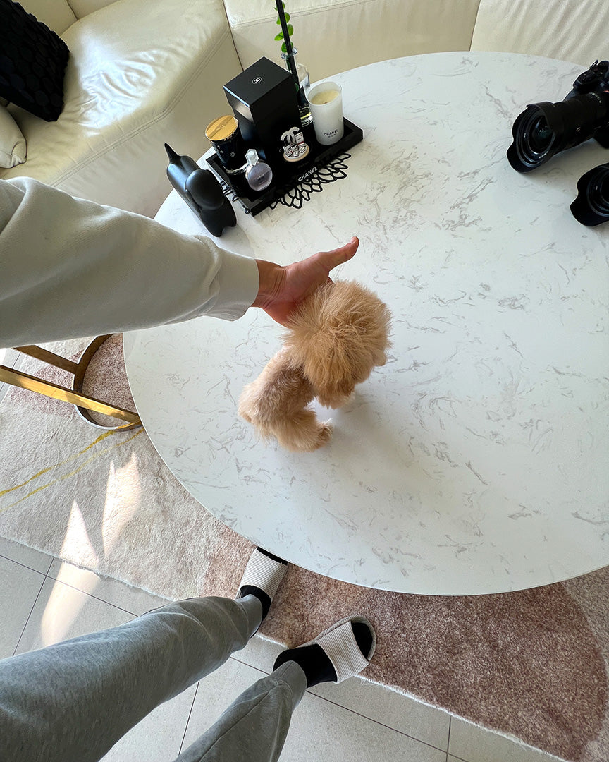 SELENA - FEMALE (PURCHASED by NIPAPAN) - ROLLYPUPS OFFICIAL