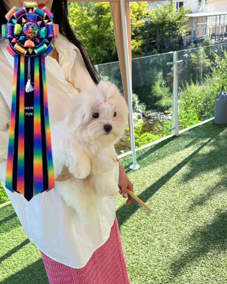JADE - FEMALE (PURCHASED by MARIA) - ROLLYPUPS OFFICIAL