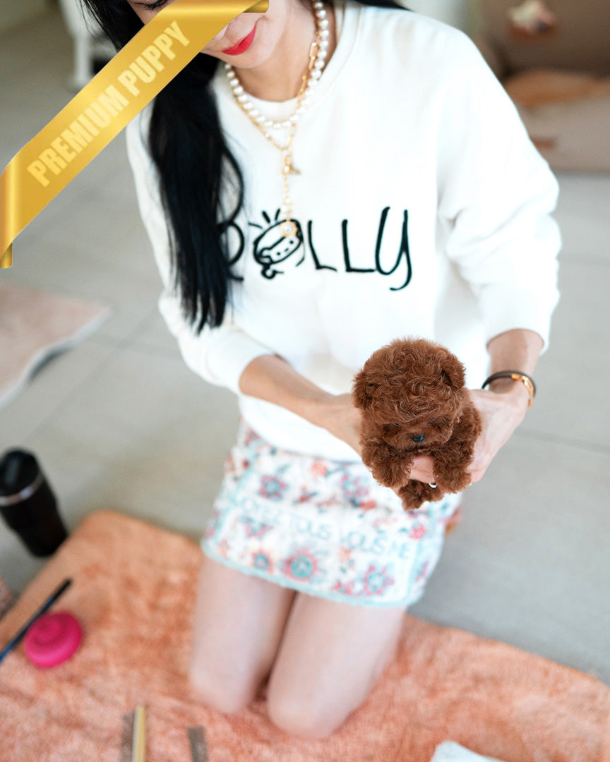 AGATHA - FEMALE (PURCHASED by DILL) - ROLLYPUPS OFFICIAL