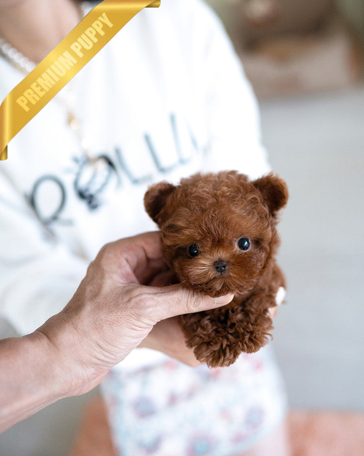 JESSICA - FEMALE (PURCHASED by ZHE) - ROLLYPUPS OFFICIAL