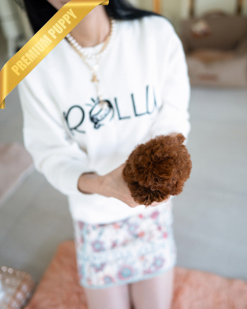 JESSICA - FEMALE (PURCHASED by ZHE) - ROLLYPUPS OFFICIAL