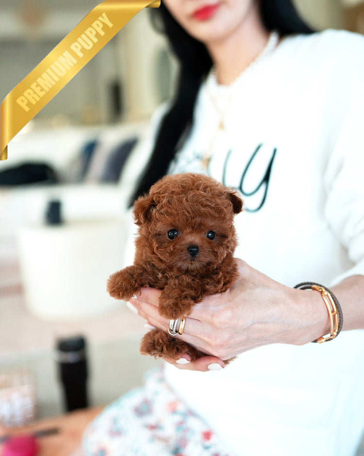 AGATHA - FEMALE (PURCHASED by DILL) - ROLLYPUPS OFFICIAL