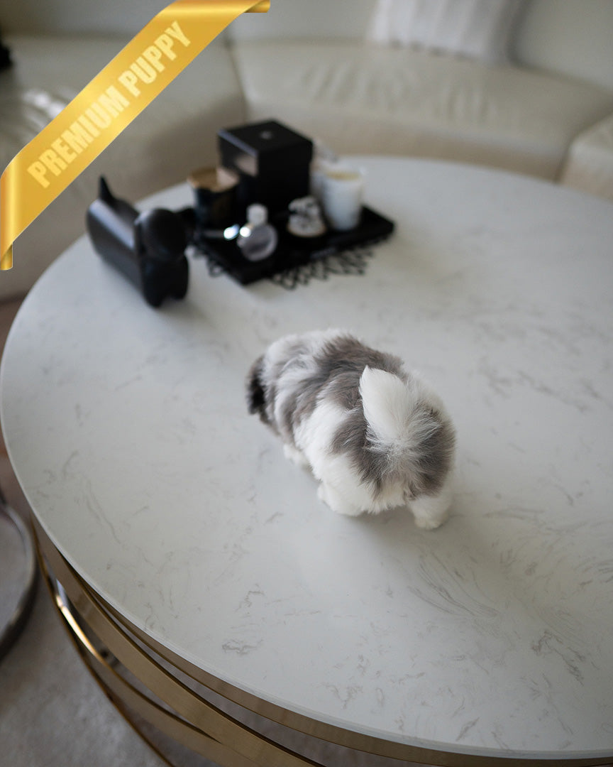 AARON - MALE (RESERVED by KIM)