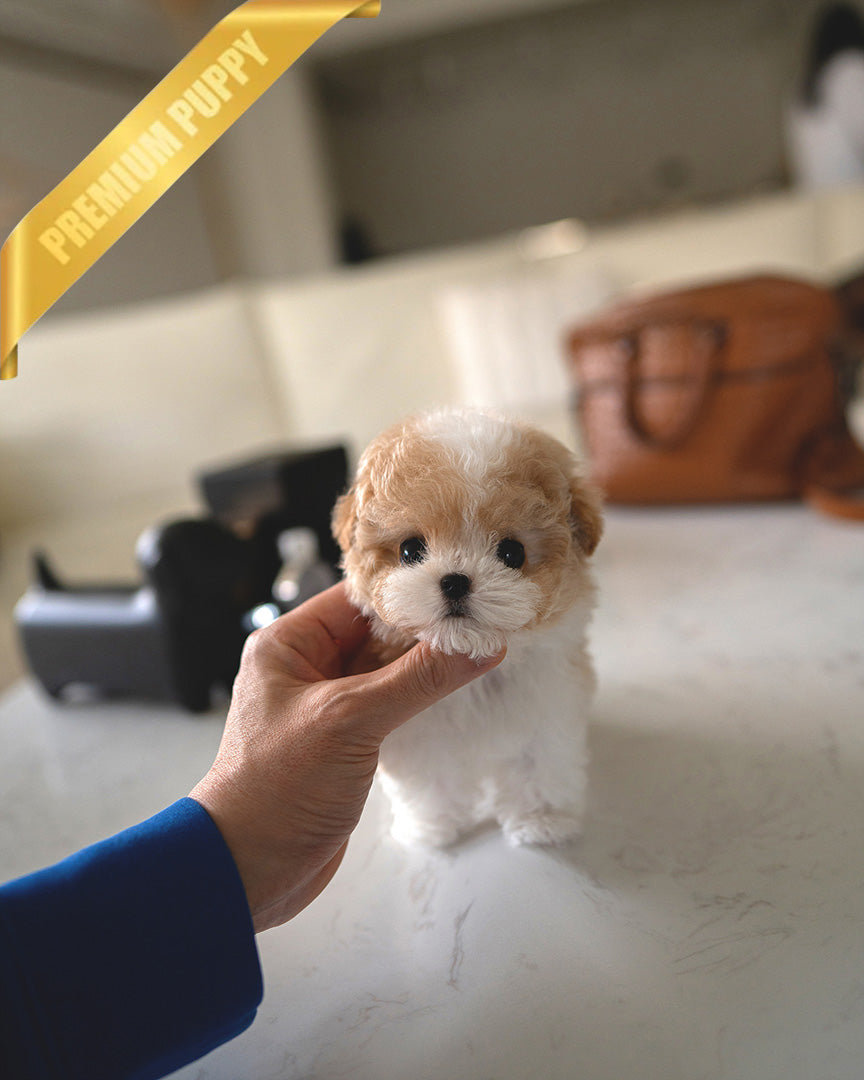 Love You Long Time Sausage Dog gepersonaliseerde mok - Etsy België, image size:864x1080