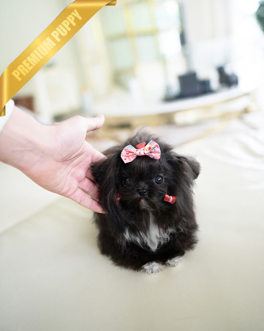PEBBLES  - FEMALE