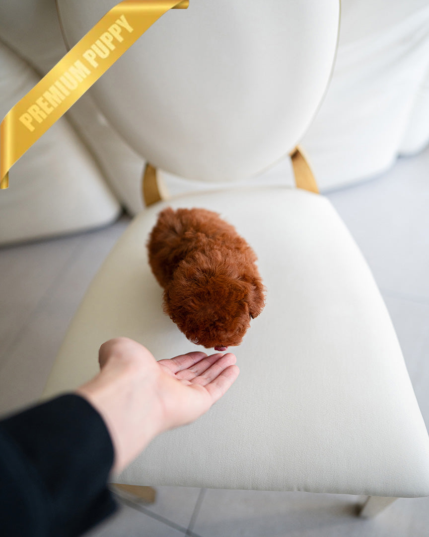 BERRY - FEMALE (PURCHASED by NAOR)