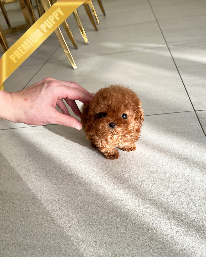 Hospital Gallery | Spinnaker Veterinary Clinic in Somerset, image size:864x1080